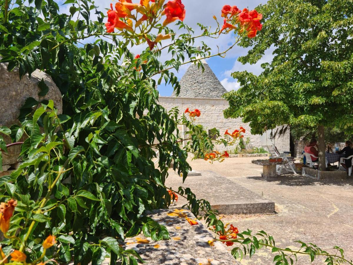 Trulli L'Utopia Di Anny Trulli Anny'S Utopia Locorotondo Exteriör bild