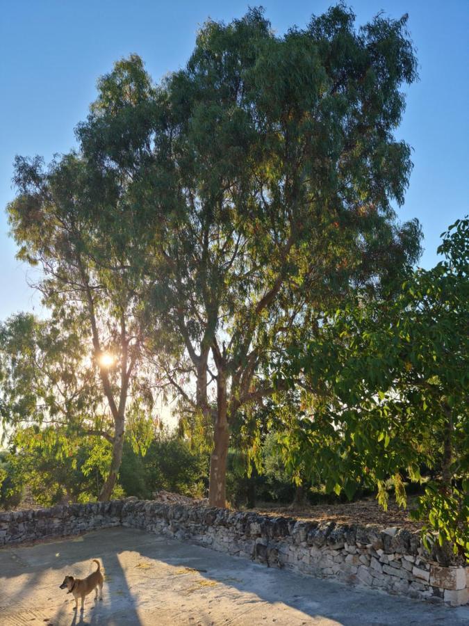 Trulli L'Utopia Di Anny Trulli Anny'S Utopia Locorotondo Exteriör bild