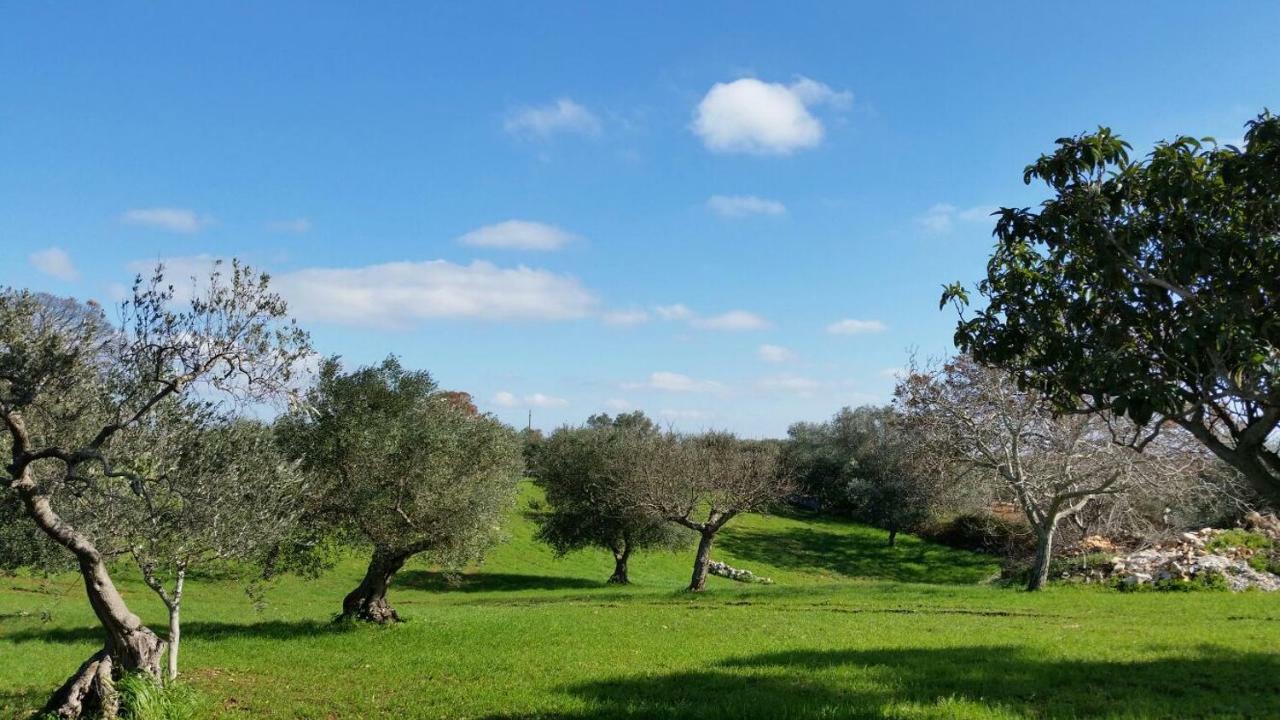 Trulli L'Utopia Di Anny Trulli Anny'S Utopia Locorotondo Exteriör bild